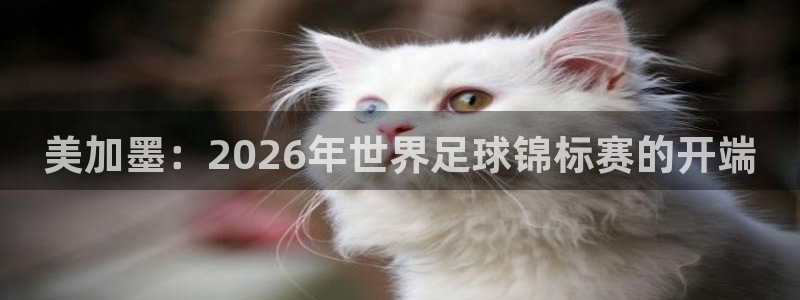 美加墨：2026年世界足球锦标赛的开端