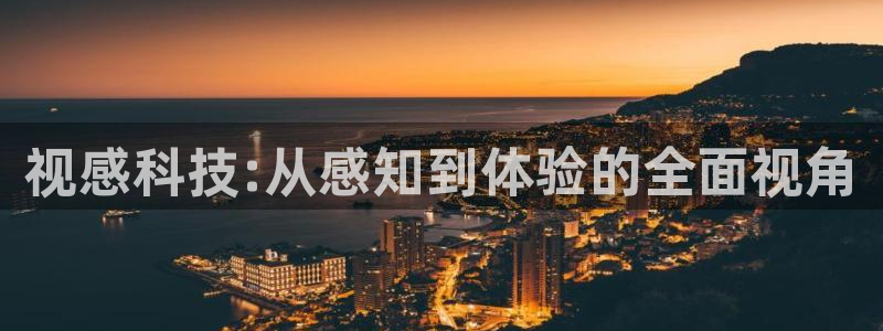 视感科技:从感知到体验的全面视角