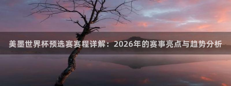 美墨世界杯预选赛赛程详解：2026年的赛事亮点与趋势分析