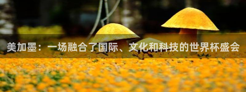 美加墨：一场融合了国际、文化和科技的世界杯盛会