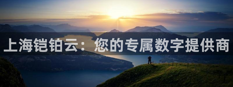 上海铠铂云：您的专属数字提供商