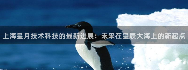 上海星月技术科技的最新进展：未来在星辰大海上的新起点